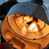 L�illuminazione generata � molto intensa, capace di sfidare il buio della sera e l�oscurit� delle acque. Il suo apporto � fondamentale perch� serve ad accecare e a far perdere l�orientamento alle prede per qualche secondo in modo da poterle afferrare 